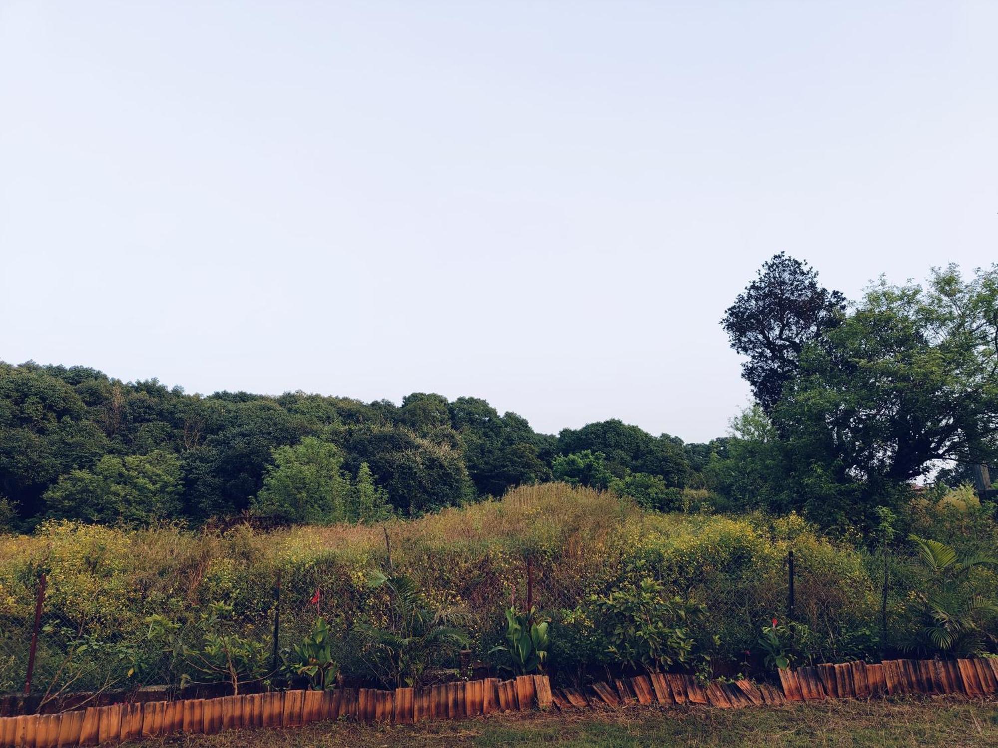 Laforesta By Mahabaleshwar Stay Kültér fotó